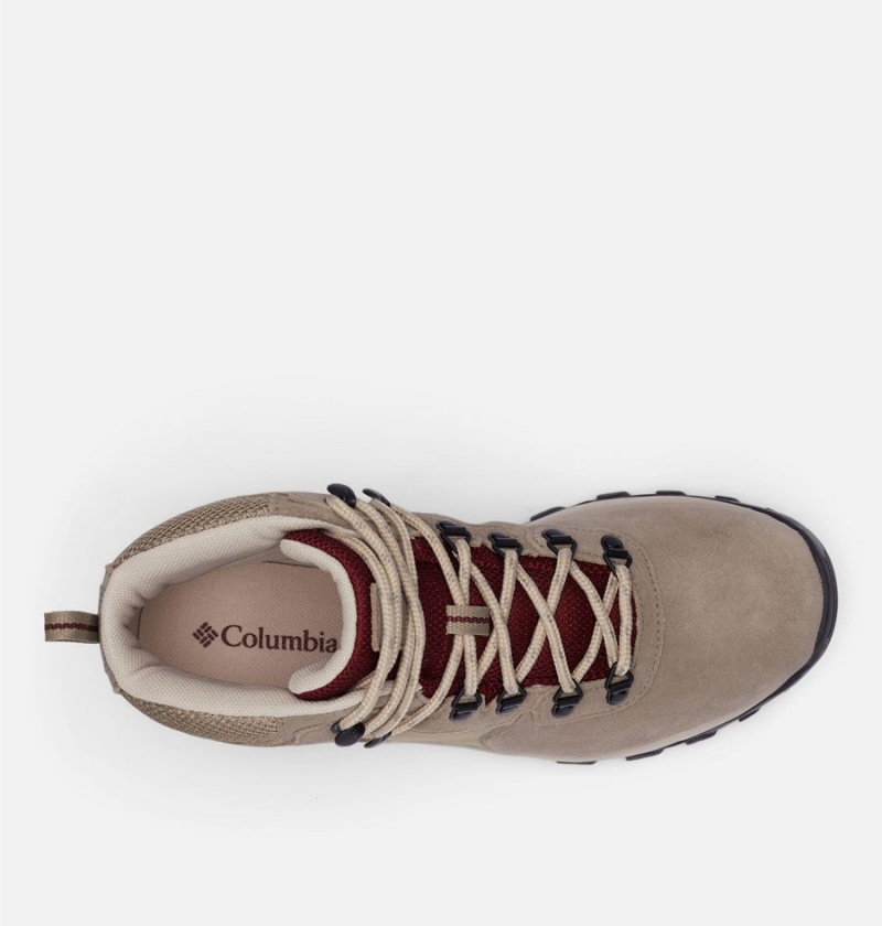 Columbia Newton Ridge Plus II Suede Waterproof Boot Men's Hiking Shoes Beige | PCTMSE-827