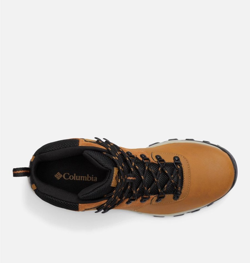 Columbia Newton Ridge Plus II Waterproof Boot Men's Hiking Shoes Brown | DKCJTP-167