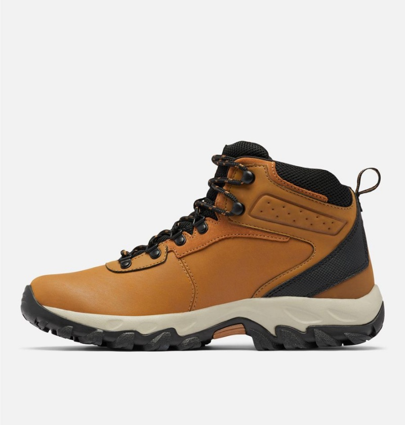 Columbia Newton Ridge Plus II Waterproof Boot Men's Hiking Shoes Brown | DKCJTP-167