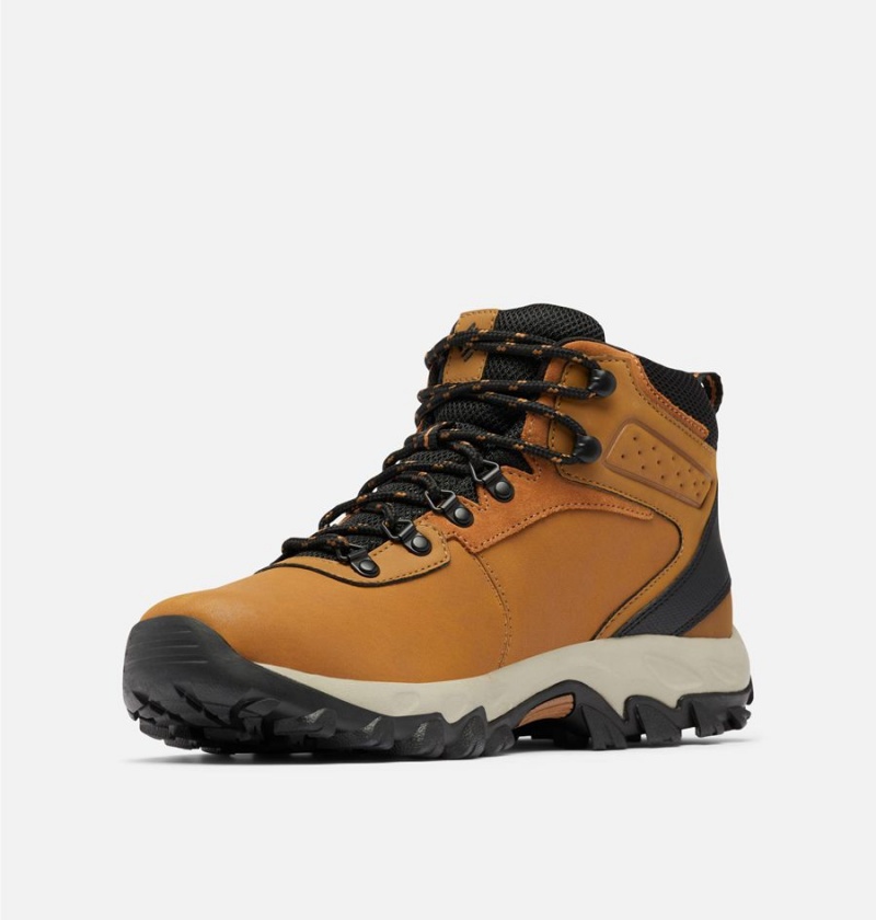 Columbia Newton Ridge Plus II Waterproof Boot Men's Hiking Shoes Brown | DKCJTP-167