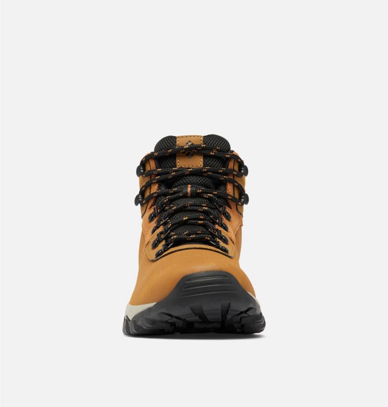 Columbia Newton Ridge Plus II Waterproof Boot Men's Hiking Shoes Brown | DKCJTP-167