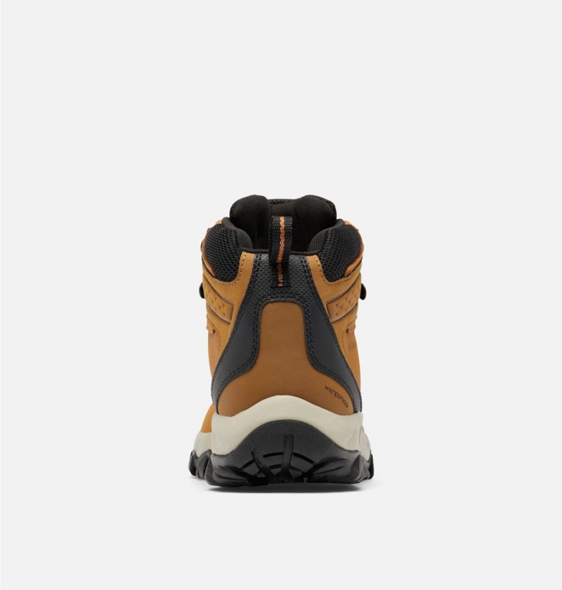 Columbia Newton Ridge Plus II Waterproof Boot Men's Hiking Shoes Brown | DKCJTP-167