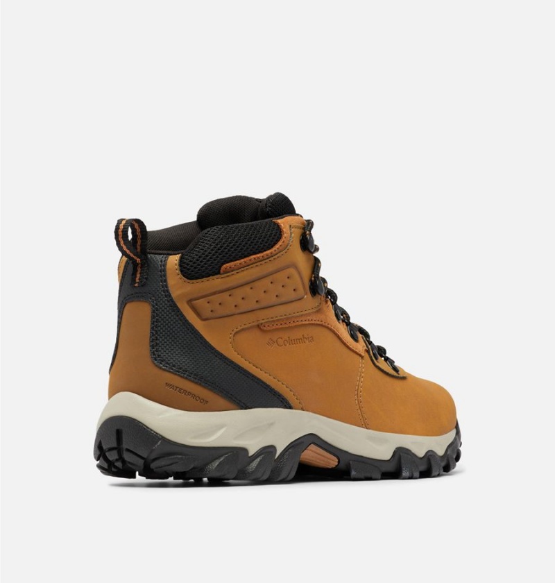Columbia Newton Ridge Plus II Waterproof Boot Men's Hiking Shoes Brown | DKCJTP-167