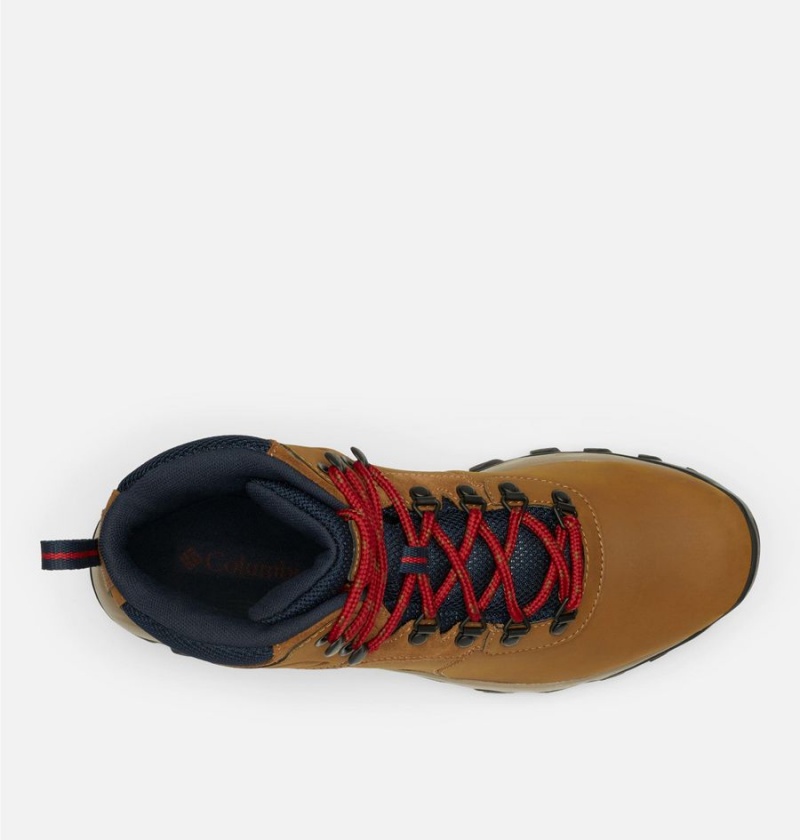 Columbia Newton Ridge Plus II Waterproof Boot Men's Hiking Shoes Brown | ZJYQOS-056