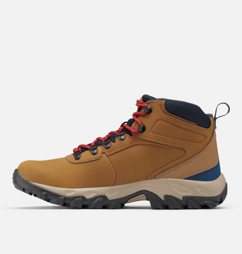 Columbia Newton Ridge Plus II Waterproof Boot Men's Hiking Shoes Brown | ZJYQOS-056