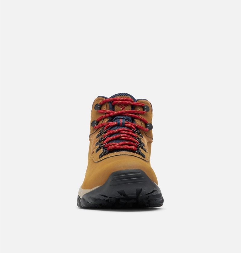 Columbia Newton Ridge Plus II Waterproof Boot Men's Hiking Shoes Brown | ZJYQOS-056