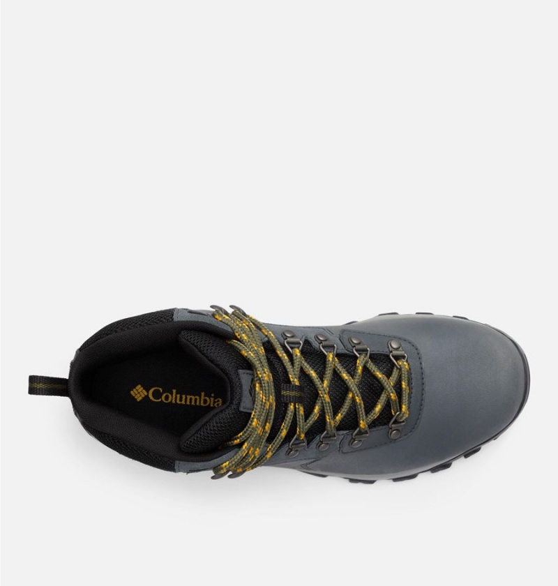 Columbia Newton Ridge Plus II Waterproof Boot Men's Hiking Shoes Grey | MBKLGY-108