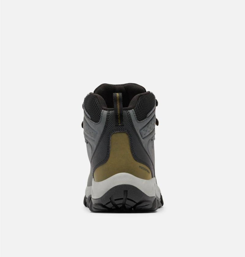 Columbia Newton Ridge Plus II Waterproof Boot Men's Hiking Shoes Grey | MBKLGY-108
