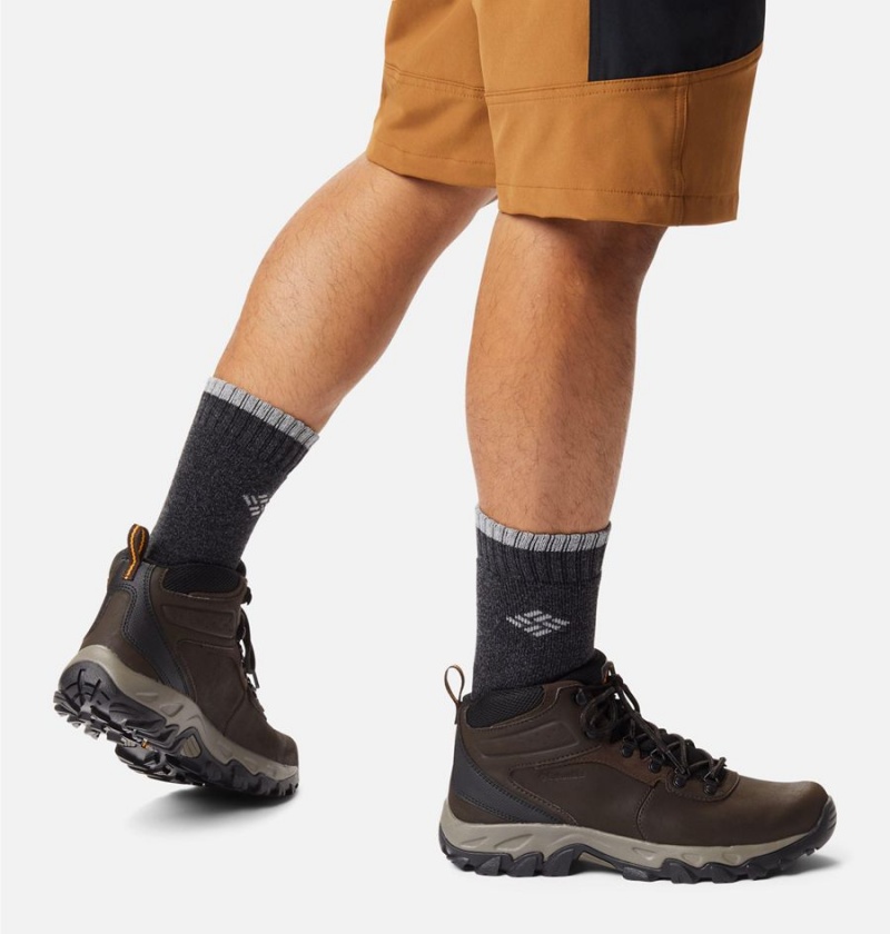 Columbia Newton Ridge Plus II Waterproof Boot Men's Hiking Shoes Brown | FNUSCZ-352