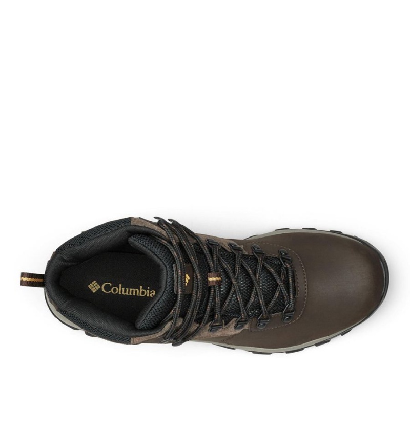 Columbia Newton Ridge Plus II Waterproof Boot Men's Hiking Shoes Brown | FNUSCZ-352