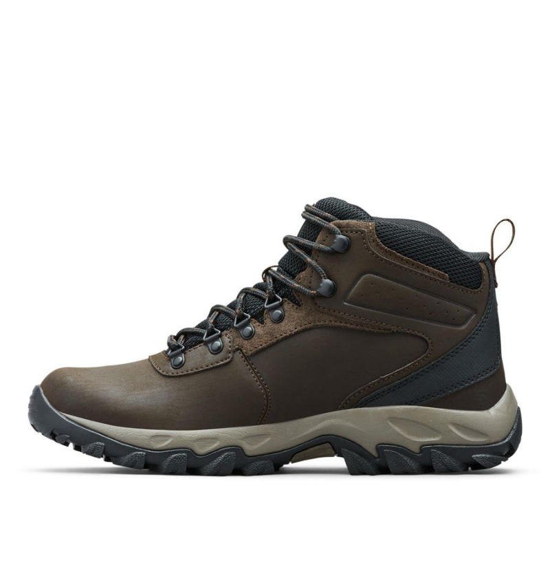 Columbia Newton Ridge Plus II Waterproof Boot Men's Hiking Shoes Brown | FNUSCZ-352