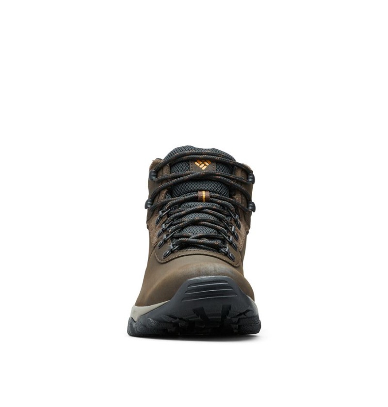 Columbia Newton Ridge Plus II Waterproof Boot Men's Hiking Shoes Brown | FNUSCZ-352