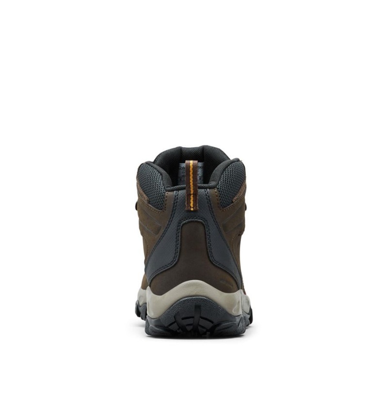 Columbia Newton Ridge Plus II Waterproof Boot Men's Hiking Shoes Brown | FNUSCZ-352