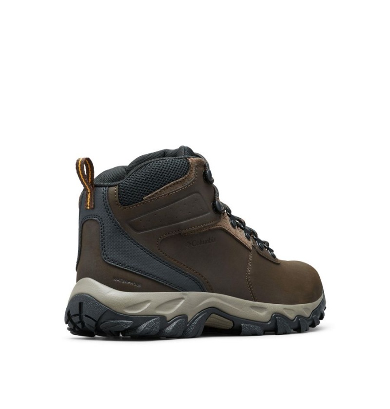 Columbia Newton Ridge Plus II Waterproof Boot Men's Hiking Shoes Brown | FNUSCZ-352