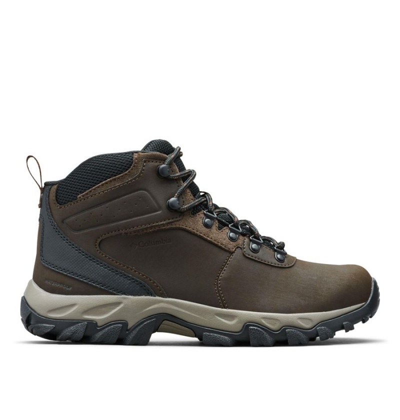 Columbia Newton Ridge Plus II Waterproof Boot Men\'s Hiking Shoes Brown | FNUSCZ-352