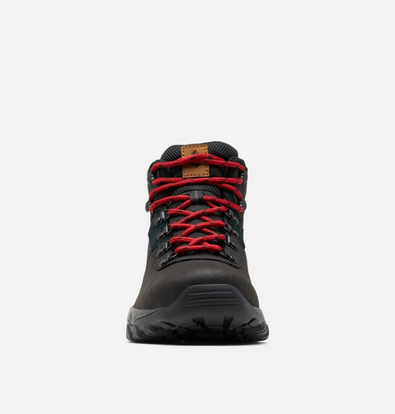 Columbia Newton Ridge Plus II Waterproof Boot Men's Hiking Shoes Black | GYOHCT-956