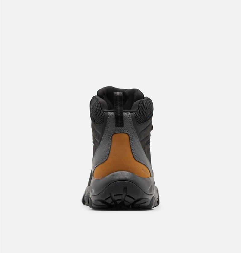 Columbia Newton Ridge Plus II Waterproof Boot Men's Hiking Shoes Black | GYOHCT-956