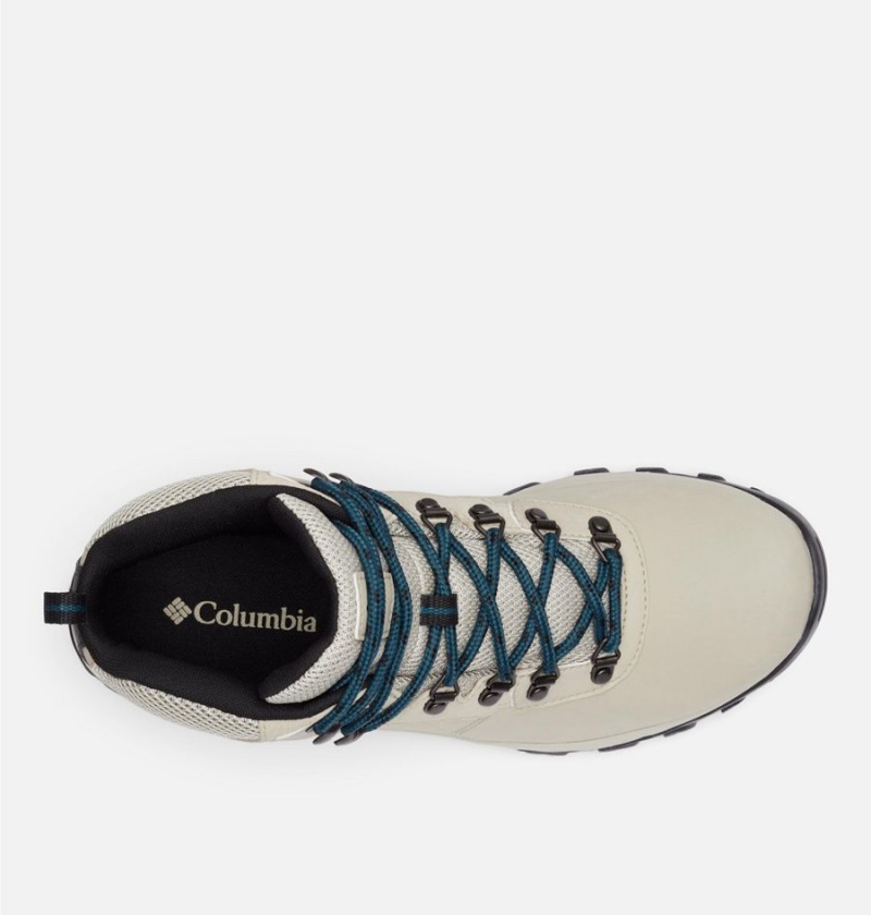 Columbia Newton Ridge Plus II Waterproof Boot Men's Hiking Shoes White | DKSUJG-376