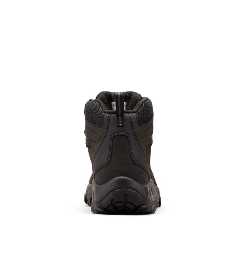 Columbia Newton Ridge Plus II Waterproof Boot Men's Hiking Shoes Black | BNIRPW-382