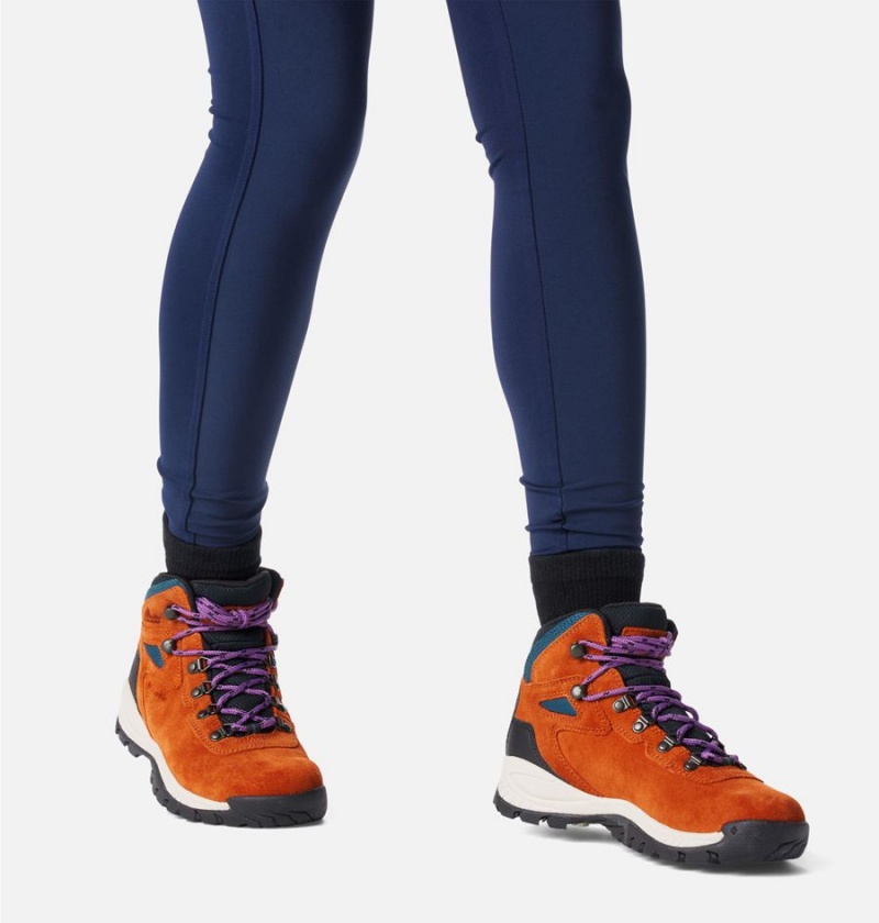 Columbia Newton Ridge Plus Waterproof Amped Boot Women's Hiking Shoes Orange | PFEYZO-867