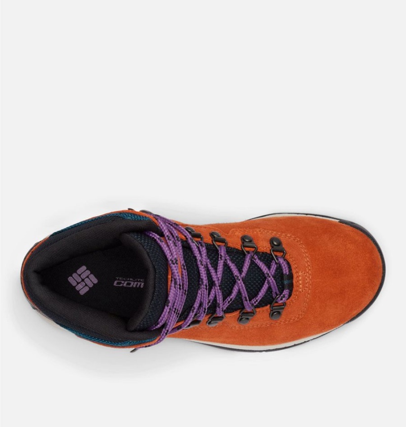 Columbia Newton Ridge Plus Waterproof Amped Boot Women's Hiking Shoes Orange | PFEYZO-867