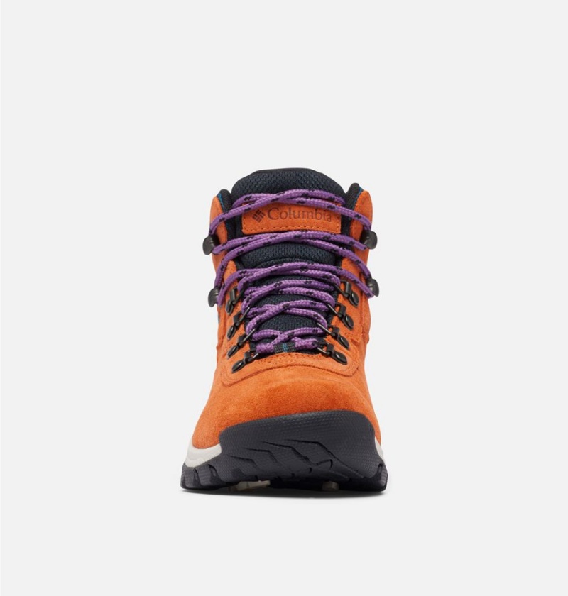 Columbia Newton Ridge Plus Waterproof Amped Boot Women's Hiking Shoes Orange | PFEYZO-867