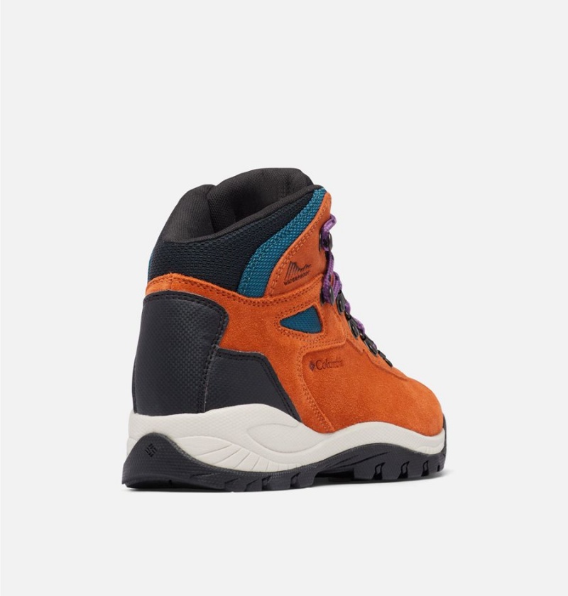 Columbia Newton Ridge Plus Waterproof Amped Boot Women's Hiking Shoes Orange | PFEYZO-867