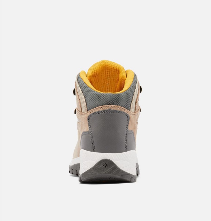 Columbia Newton Ridge Plus Waterproof Amped Boot Women's Hiking Shoes Brown | ZKVMXQ-419