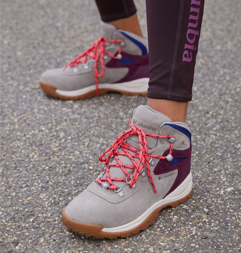 Columbia Newton Ridge Plus Waterproof Amped Boot Women's Hiking Shoes Grey | WVXDAQ-562