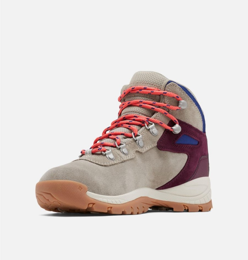 Columbia Newton Ridge Plus Waterproof Amped Boot Women's Hiking Shoes Grey | WVXDAQ-562