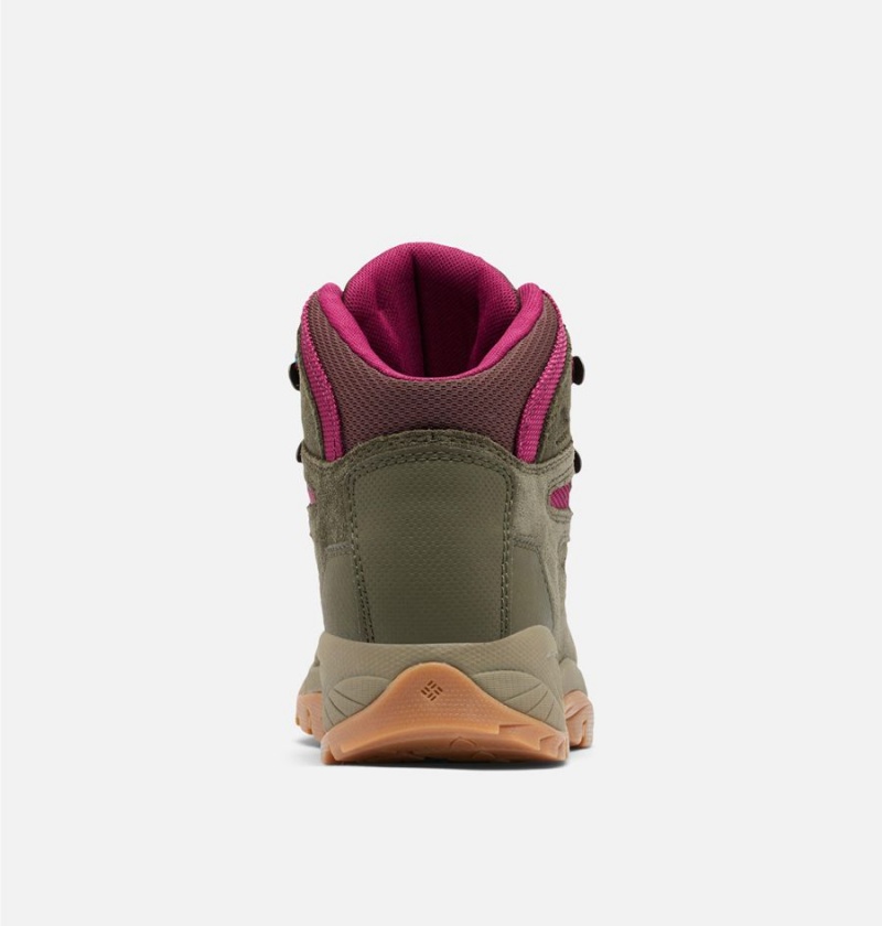 Columbia Newton Ridge Plus Waterproof Amped Boot Women's Hiking Shoes Olive | PVSKYI-628