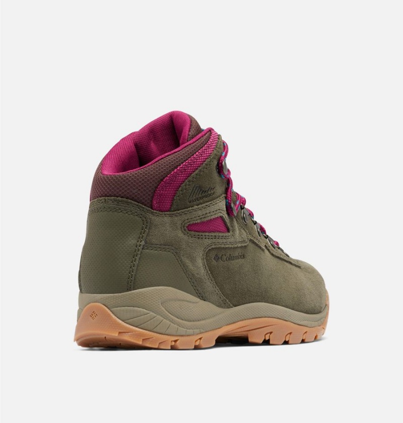 Columbia Newton Ridge Plus Waterproof Amped Boot Women's Hiking Shoes Olive | PVSKYI-628