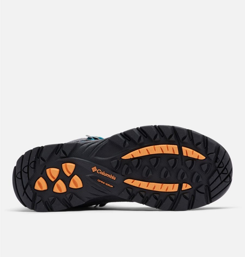 Columbia Newton Ridge Plus Waterproof Amped Boot Women's Hiking Shoes Black | WFDVQP-278