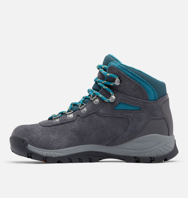 Columbia Newton Ridge Plus Waterproof Amped Boot Women's Hiking Shoes Black | WFDVQP-278