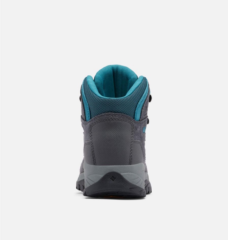 Columbia Newton Ridge Plus Waterproof Amped Boot Women's Hiking Shoes Black | WFDVQP-278
