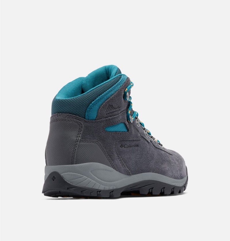 Columbia Newton Ridge Plus Waterproof Amped Boot Women's Hiking Shoes Black | WFDVQP-278