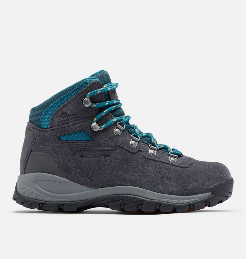 Columbia Newton Ridge Plus Waterproof Amped Boot Women\'s Hiking Shoes Black | WFDVQP-278