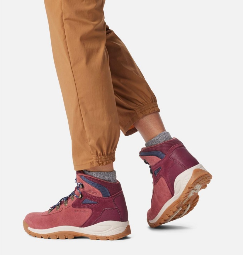 Columbia Newton Ridge Plus Waterproof Amped Boot Women's Hiking Shoes Coral | MFCZDU-457