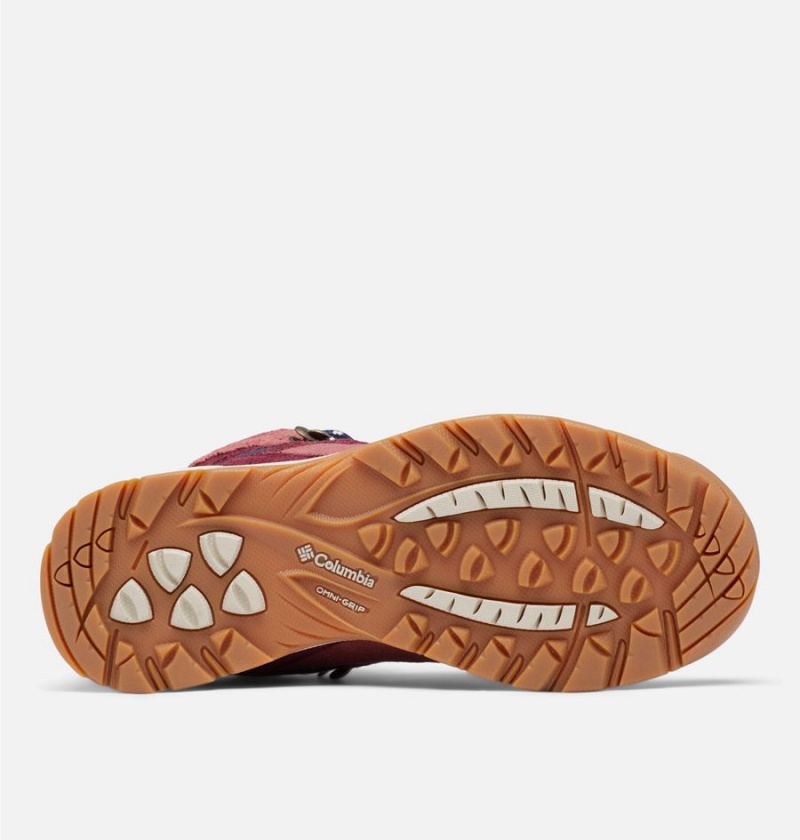 Columbia Newton Ridge Plus Waterproof Amped Boot Women's Hiking Shoes Coral | MFCZDU-457