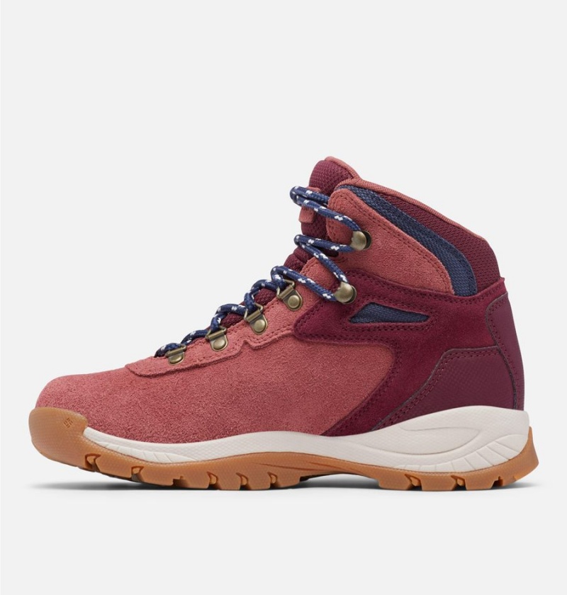 Columbia Newton Ridge Plus Waterproof Amped Boot Women's Hiking Shoes Coral | MFCZDU-457