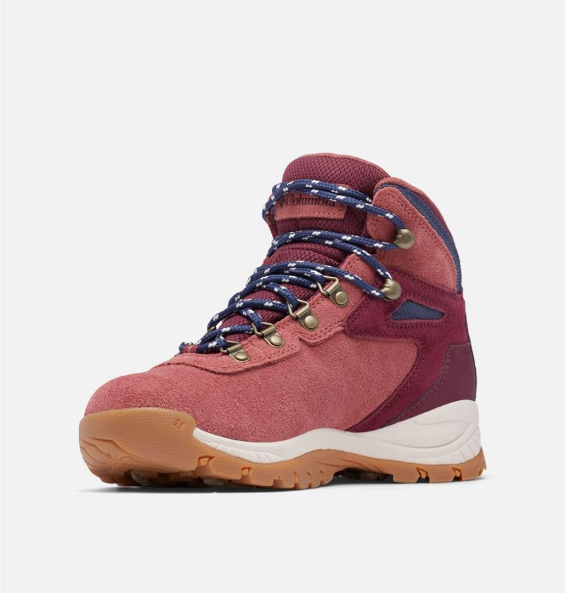 Columbia Newton Ridge Plus Waterproof Amped Boot Women's Hiking Shoes Coral | MFCZDU-457