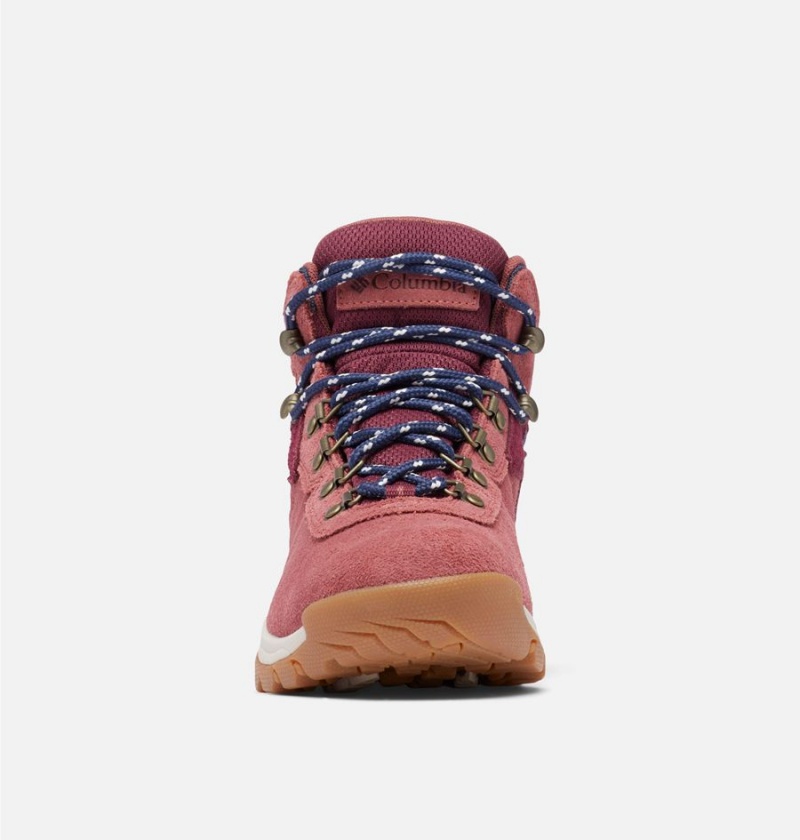 Columbia Newton Ridge Plus Waterproof Amped Boot Women's Hiking Shoes Coral | MFCZDU-457