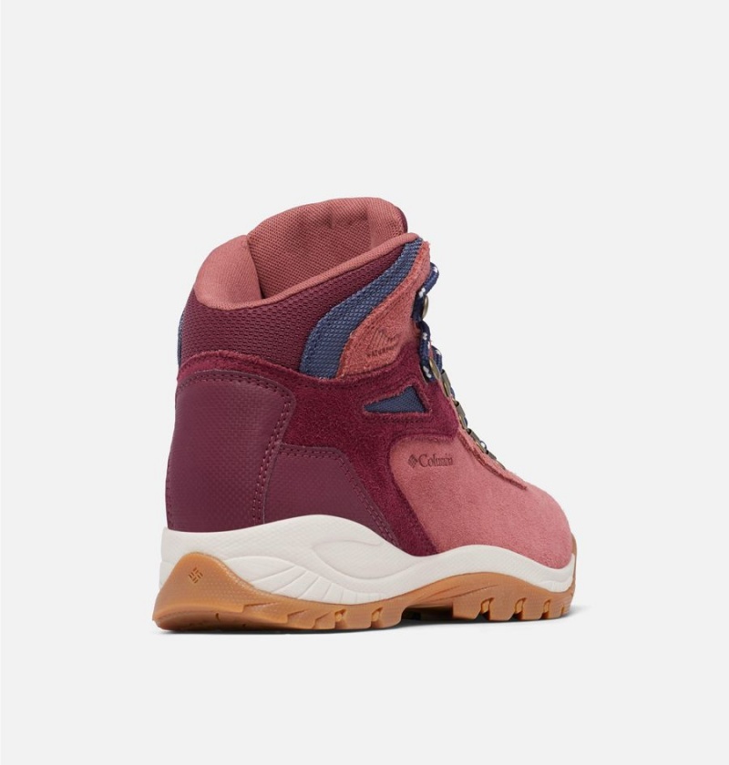 Columbia Newton Ridge Plus Waterproof Amped Boot Women's Hiking Shoes Coral | MFCZDU-457