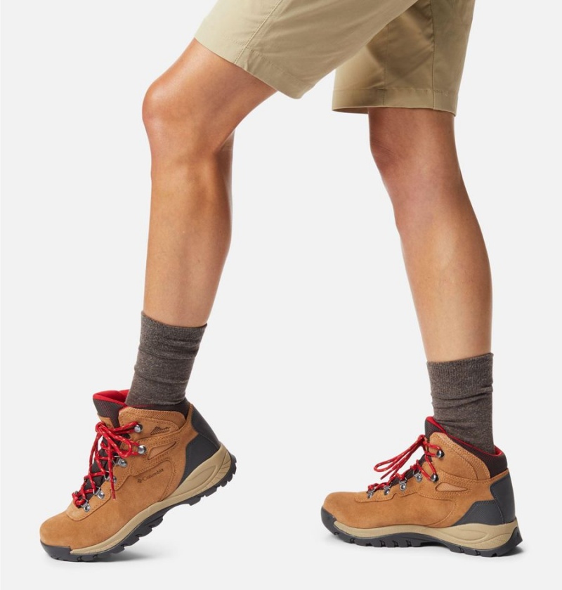 Columbia Newton Ridge Plus Waterproof Amped Boot Women's Hiking Shoes Brown | SYDMTQ-371