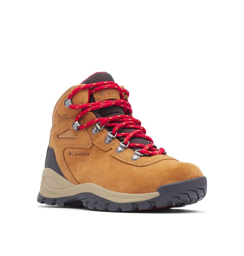 Columbia Newton Ridge Plus Waterproof Amped Boot Women's Hiking Shoes Brown | SYDMTQ-371
