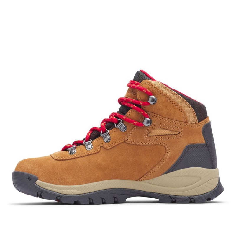 Columbia Newton Ridge Plus Waterproof Amped Boot Women's Hiking Shoes Brown | SYDMTQ-371