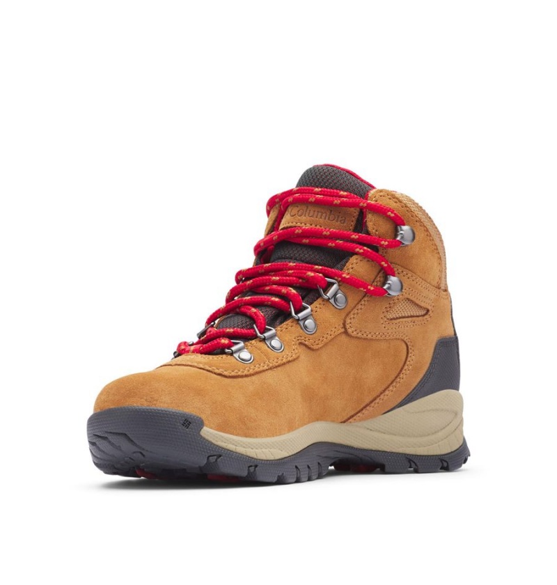 Columbia Newton Ridge Plus Waterproof Amped Boot Women's Hiking Shoes Brown | SYDMTQ-371