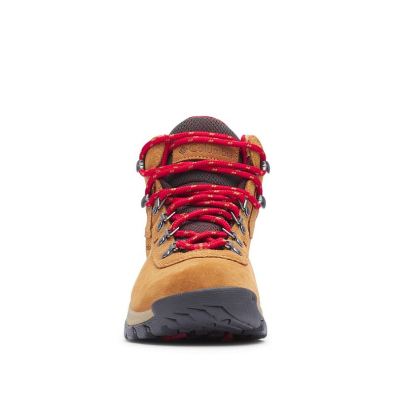 Columbia Newton Ridge Plus Waterproof Amped Boot Women's Hiking Shoes Brown | SYDMTQ-371