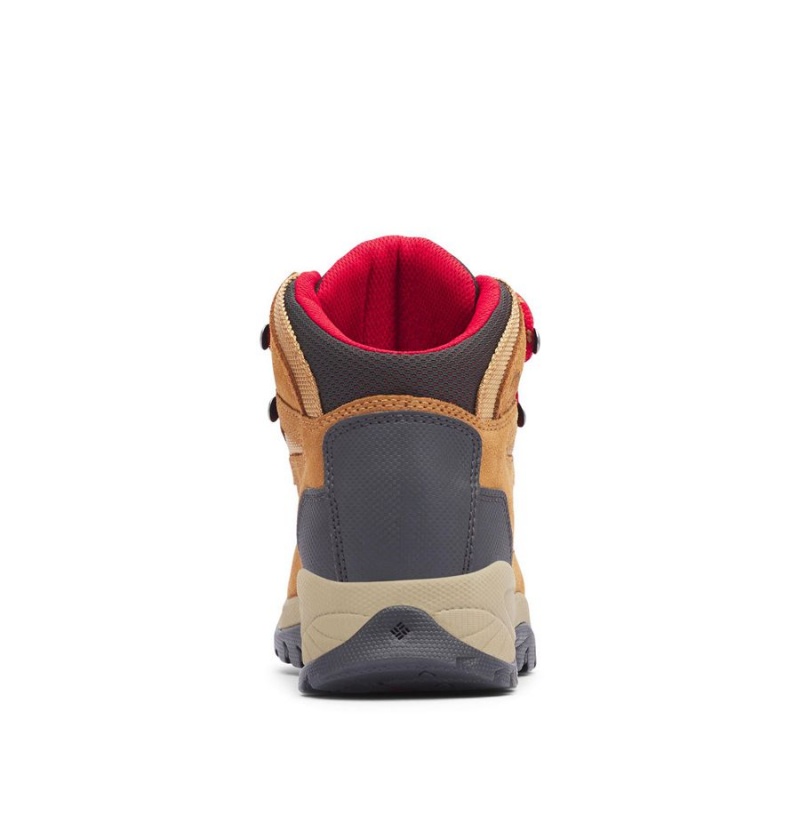 Columbia Newton Ridge Plus Waterproof Amped Boot Women's Hiking Shoes Brown | SYDMTQ-371