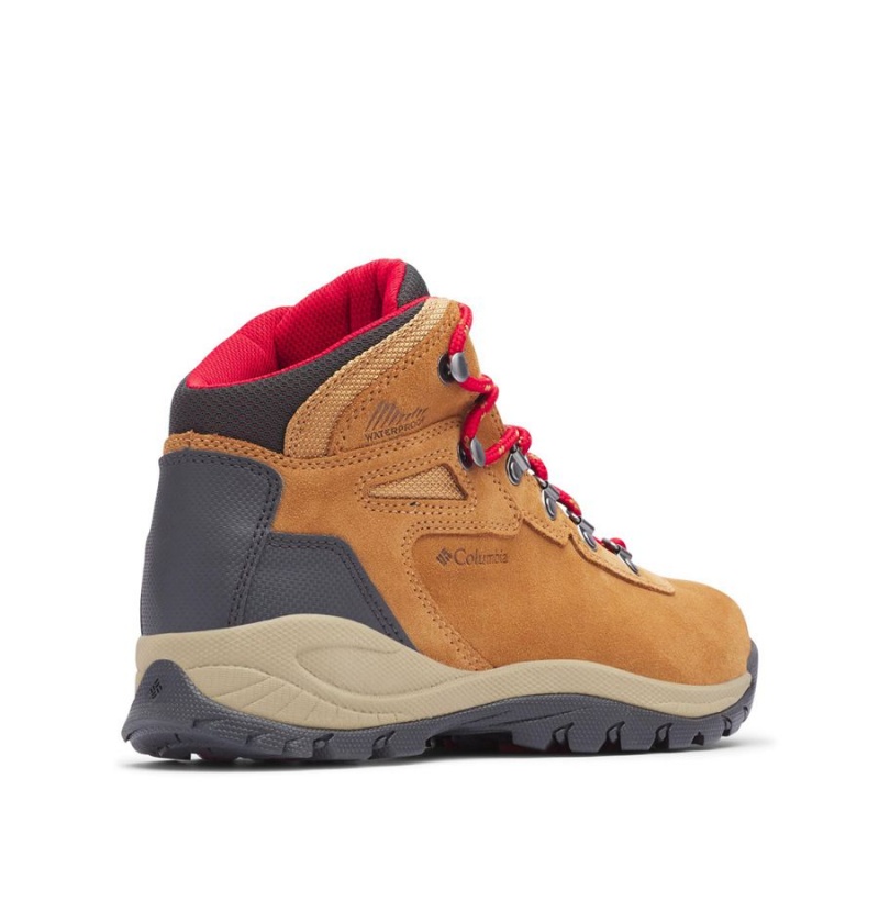 Columbia Newton Ridge Plus Waterproof Amped Boot Women's Hiking Shoes Brown | SYDMTQ-371